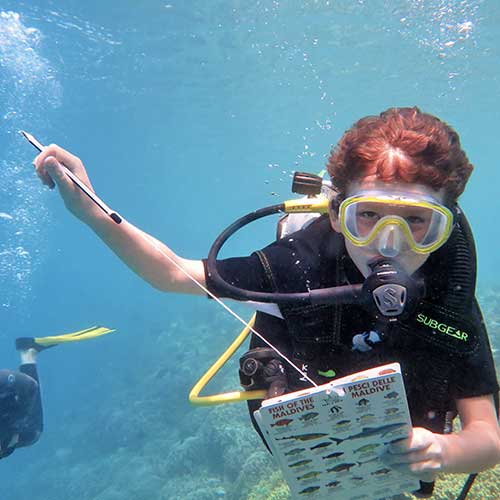 Scuba diving in Maldives 