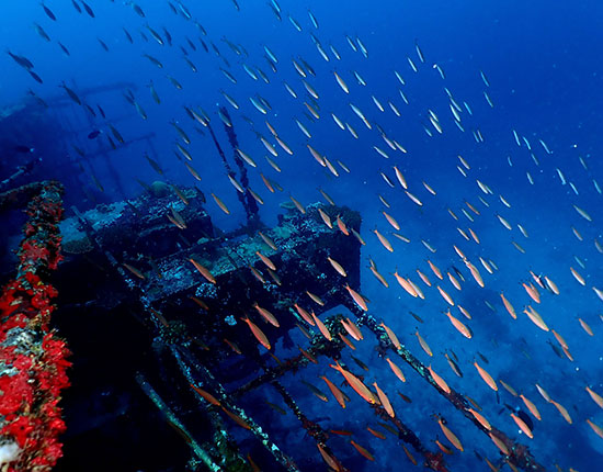 wreck diving maldives