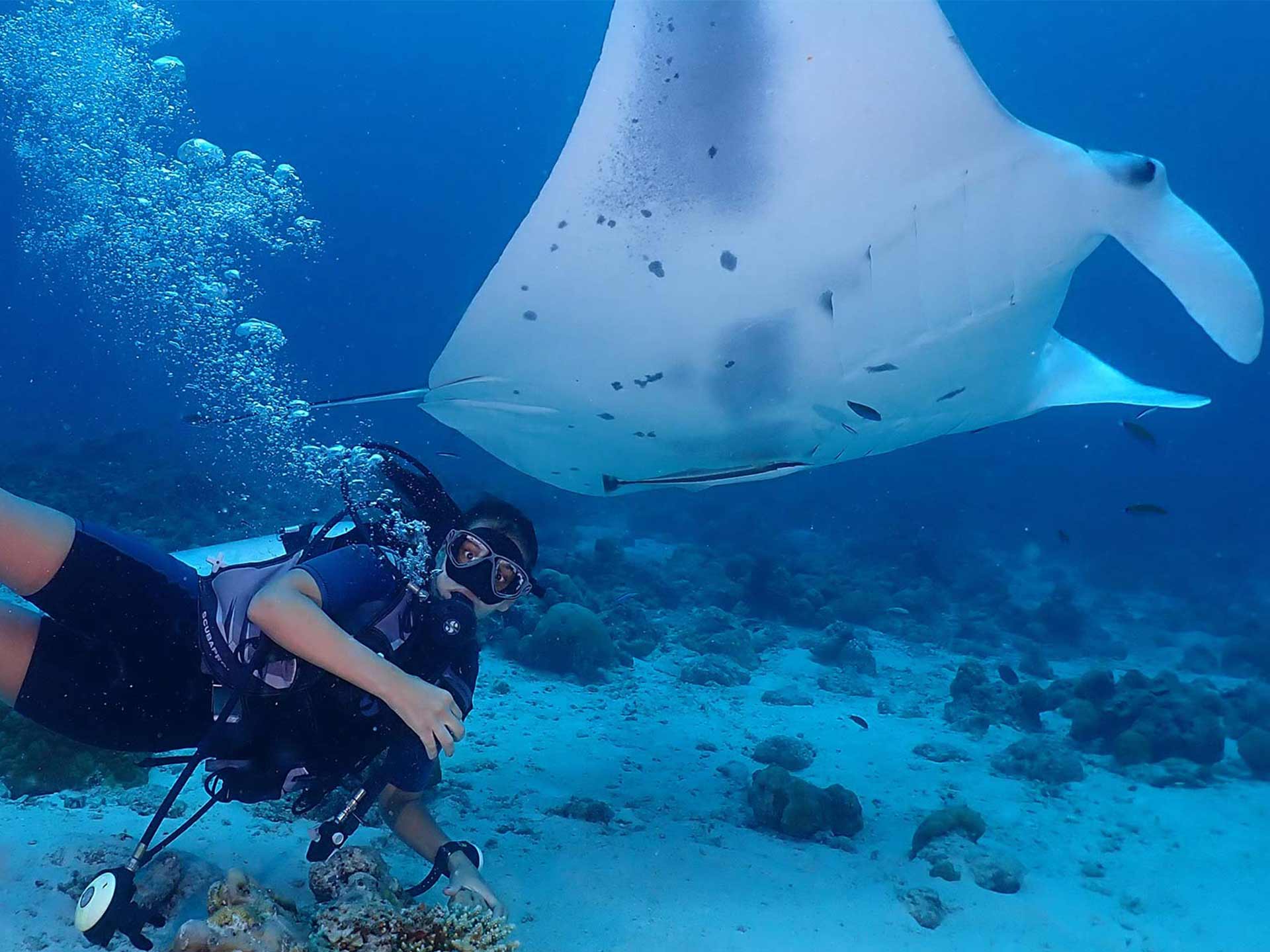 Rasdhoo Diving PADI Scuba Diving Center in Rasdhoo, Maldives
