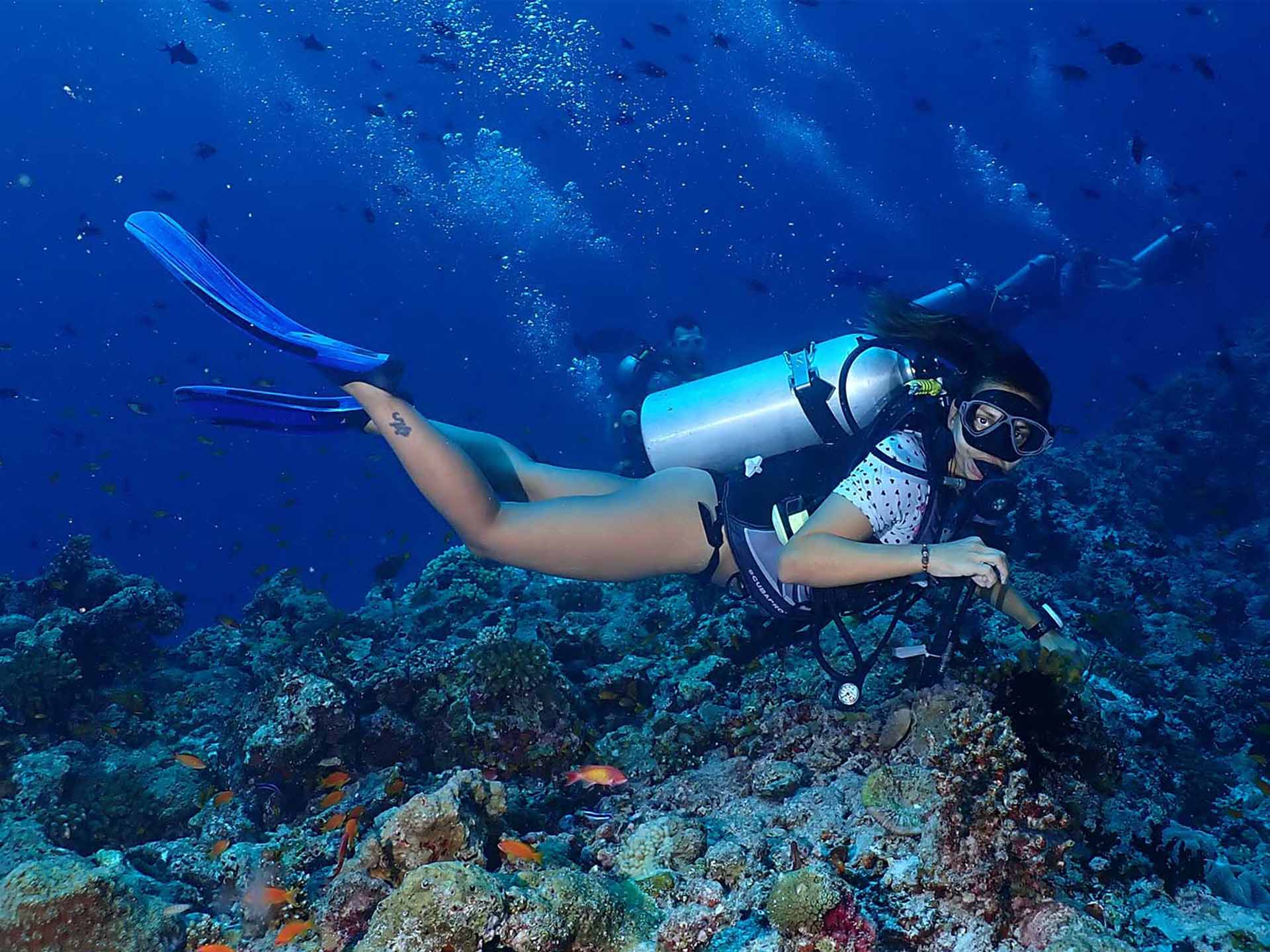 Rasdhoo Diving PADI Scuba Diving Center in Rasdhoo, Maldives